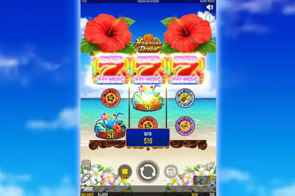 ハワイアンドリームのゲーム画面