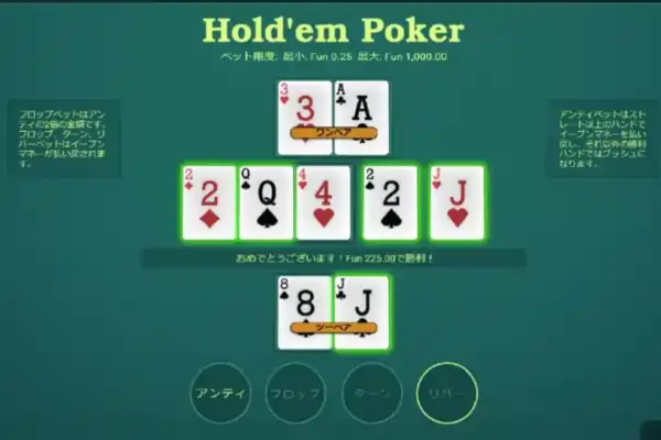 ホールデムポーカー